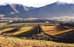 Hemel en Aarde